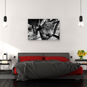 Tablou canvas - Trist, Caine, Pet, Strada, Alb-Negru, Banca, 60 x 90 cm - Img 3