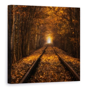 Tablou canvas - Tunelul Toamnei, Polonia, Lumina, Galben, 60 x 60 cm