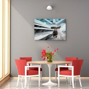 Tablou canvas - Un catel alergand prin lume, Animal, Urban, Caine, Animale De Companie, 80 x 120 cm - Img 4