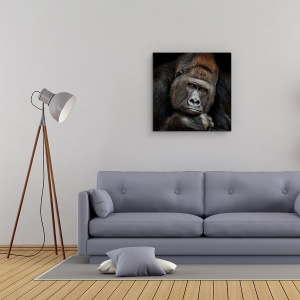 Tablou Canvas - Un Moment In Contact, Gorila, Animale, 60 x 60 cm - Img 2