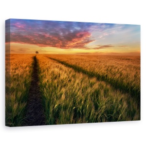 Tablou canvas - Undeva La Apus, Peisaj, Camp, Copac, Polonia, 40 x 60 cm