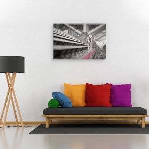 Tablou canvas - Uneori Ninge In Aprilie, Caini, Zapada, Stare De Spirit, 40 x 60 cm - Img 2