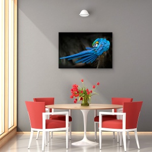 Tablou canvas decorativ animal abstract Untitled 60x90 cm