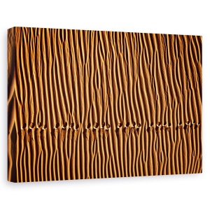 Tablou canvas - Urma, Desert, Model, Piese, Amprente, Pasi, 40 x 60 cm