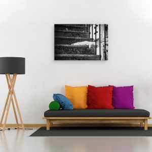 Tablou canvas - Viata Lenta, Pisica, Vis, Pitigliano, Italia, Borgo, 80 x 120 cm - Img 2