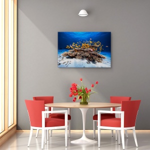 Tablou canvas - Viata marina, Animal, Recif, Coral, Pesti, 80 x 120 cm - Img 4