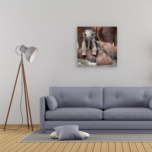 Tablou canvas - Victor Cel Mandru Sau Stralucirea Invingatorului, Animale, Elefant, Baie, Scaldat, 60 x 60 cm - Img 2
