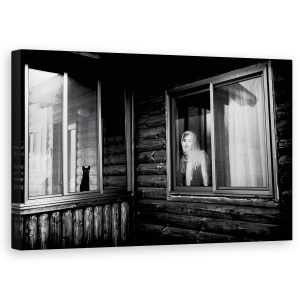 Tablou canvas - Vika, Pisica, Animal, Pet, Fereastra, 50 x 80 cm