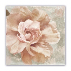 Tablou Canvas - Vintage, Flori, Bujori, Roz, 60 x 60 cm