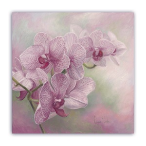 Tablou Canvas - Vintage, Orhidee, Floral, Roz, 60 x 60 cm