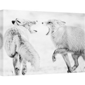 Tablou canvas - Vis de Iarna, Fauna, Vulpe, Iarna, Monocrom, Alb-Negru, 60 x 90 cm