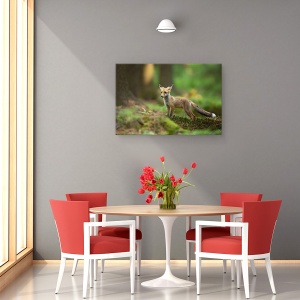 Tablou canvas - Vulpe Rosie, Dragut, Copil, Coada, 60 x 90 cm - Img 4