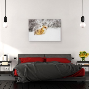Tablou canvas - Vulpea Rosie Intr-O Furtuna De Zapada, Iarna, 80 x 120 cm - Img 3
