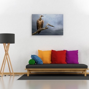 Tablou canvas - Vulturul, Africa, Aviara, Pasare, Pelerina, Natura, 60 x 90 cm - Img 2
