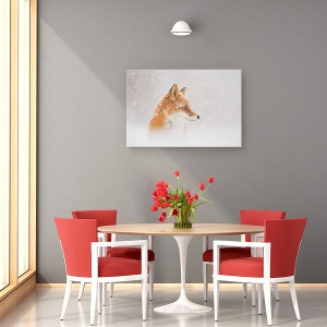Tablou canvas - Zapada Cade, Kamceatka, Iarna, Vulpe, Animale, Natura, 80 x 120 cm - Img 4