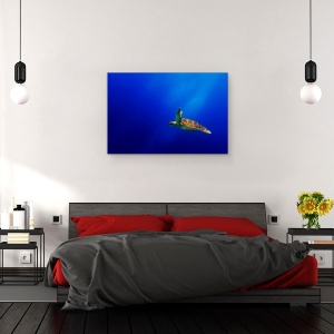 Tablou canvas - Zbor, Mare, Testoasa, Marina, Albastru, Ocean, 60 x 90 cm - Img 3