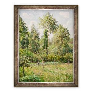 Tablou inramat - Camille Pissarro - Plopi, 60 x 80 cm