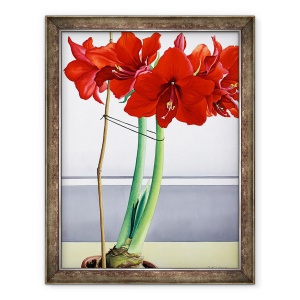Tablou inramat - Christopher Ryland - Amaryllis rosu 2, 70 x 90 cm