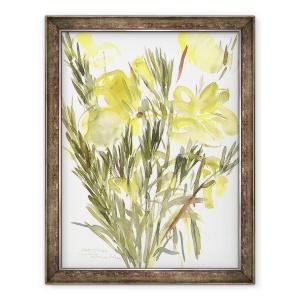 Tablou inramat - Claudia Hutchins-Puechavy - Primula de seara, 2004, 70 x 90 cm