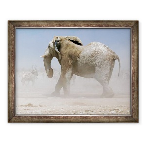 Tablou inramat - Eric Meyer - Bull Elephant, Etosha, 2018, 60 x 80 cm