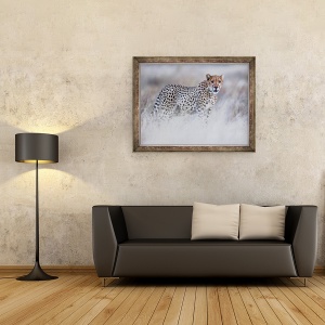 Tablou inramat - Eric Meyer - Ghepardul Chyulu, 60 x 80 cm - Img 2