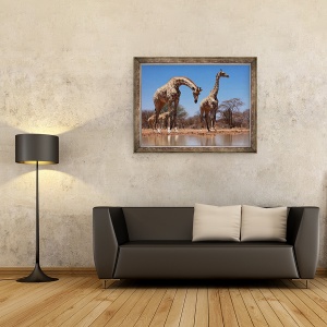 Tablou inramat - Eric Meyer - Girafe de Sud, 2019, 70 x 90 cm - Img 2