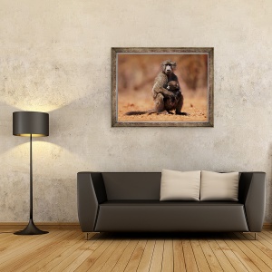 Tablou inramat - Eric Meyer - Mama si copilul babuin, 60 x 80 cm - Img 2