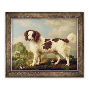 Tablou inramat - George Stubbs - Norfolk maro si alb sau spaniol de apa, 50 x 60 cm