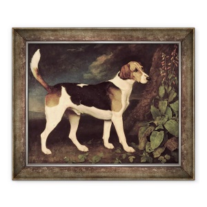 Tablou inramat - George Stubbs - Ringwood, un Brocklesby Foxhound, 50 x 60 cm