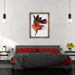 Tablou inramat - Hiroyuki Izutsu - O floare imaginara bazata pe un amaryllis., 60 x 80 cm - Img 3
