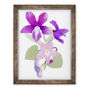 Tablou inramat - Hiroyuki Izutsu - Viola mandshurica, 60 x 80 cm