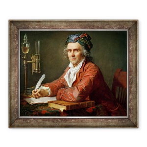 Tablou inramat - Jacques Louis David - Portret De Alphonse Leroy, 70 x 85 cm