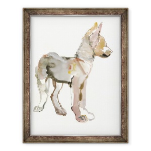 Tablou inramat - Mark Adlington - Waggle Arabian Wolf Pup, 2011, 60 x 80 cm