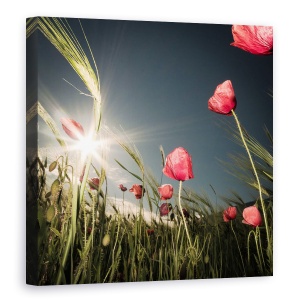 Tablou canvas - A Venit Vara, Floare, Maci, Rosu, Lunca, Soare, 90 x 90 cm
