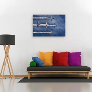 Tablou canvas - Aerostarurile, Avion, Airshow, Norvegia, Bergen, Yak50, 40 x 60 cm - Img 2