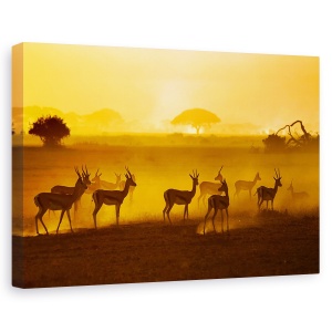 Tablou canvas - Ai Grija, Natura, Animal, Savana, Peisaj, Salbatic, 60 x 90 cm