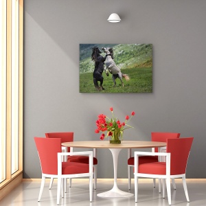 Tablou canvas alb-negru cu cal în natură, 60x90 cm
