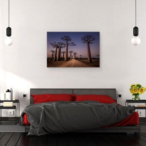 Tablou canvas - Aleea Cu Baobabi, Peisaj, Drum, Copaci, Cale, Perspectiva, 40 x 60 cm - Img 3