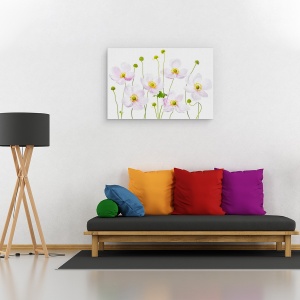 Tablou canvas - Anemone Japoneze, Japoneza, Vara, Floare, Floral, Gradina, 80 x 120 cm - Img 2