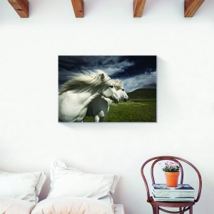 Tablou decorativ cai albi pe canvas 40x60 cm