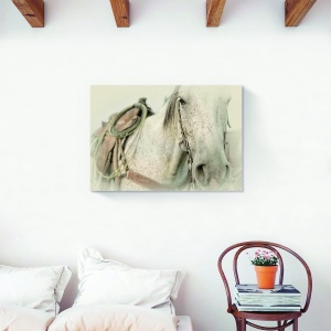 Tablou canvas decorativ cal alb 60x90 cm