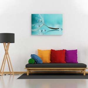 Tablou canvas - Apa, Papadie, Samanta, Reflectie, Cadere, 40 x 60 cm - Img 2