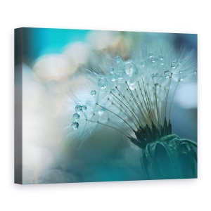 Tablou canvas - Aproape, Macro, Aproape, Picatura, Apa, Floare, 60 x 80 cm