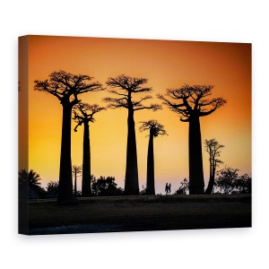 Tablou canvas - Apus De Soare In Morondava, Peisaj, Calatorie, Madagascar, 75 x 100 cm