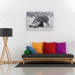 Tablou canvas - Arici, Animal, Cizma, Pantof, Distractie, Amuzant, 60 x 90 cm - Img 2