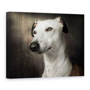 Tablou canvas - Asteptand, Ogar, Canin, La Vedere, Caine, 75 x 100 cm