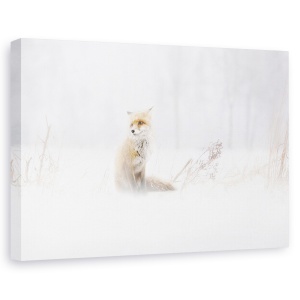 Tablou canvas - Asteptand, Vulpe, Iarna, Padure, Zapada, Rece, 80 x 120 cm