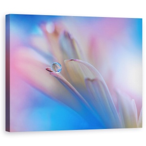 Tablou canvas - Atinge-Ma Incet, Picatura, Apa, Floare, 60 x 75 cm