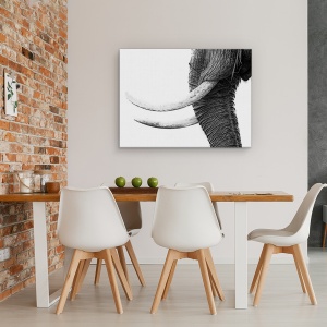 Tablou canvas - Aur Alb, Elefant, Salbatic, Natura, Animale, Africa, 60 x 80 cm - Img 4