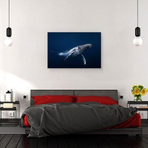 Tablou canvas - Balena Cu Cocoasa - Albastru, Sefii, Sub Apa, 40 x 60 cm - Img 3